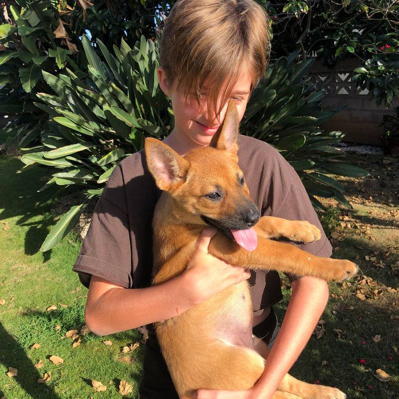 Fur-Angel Foundation on Instagram